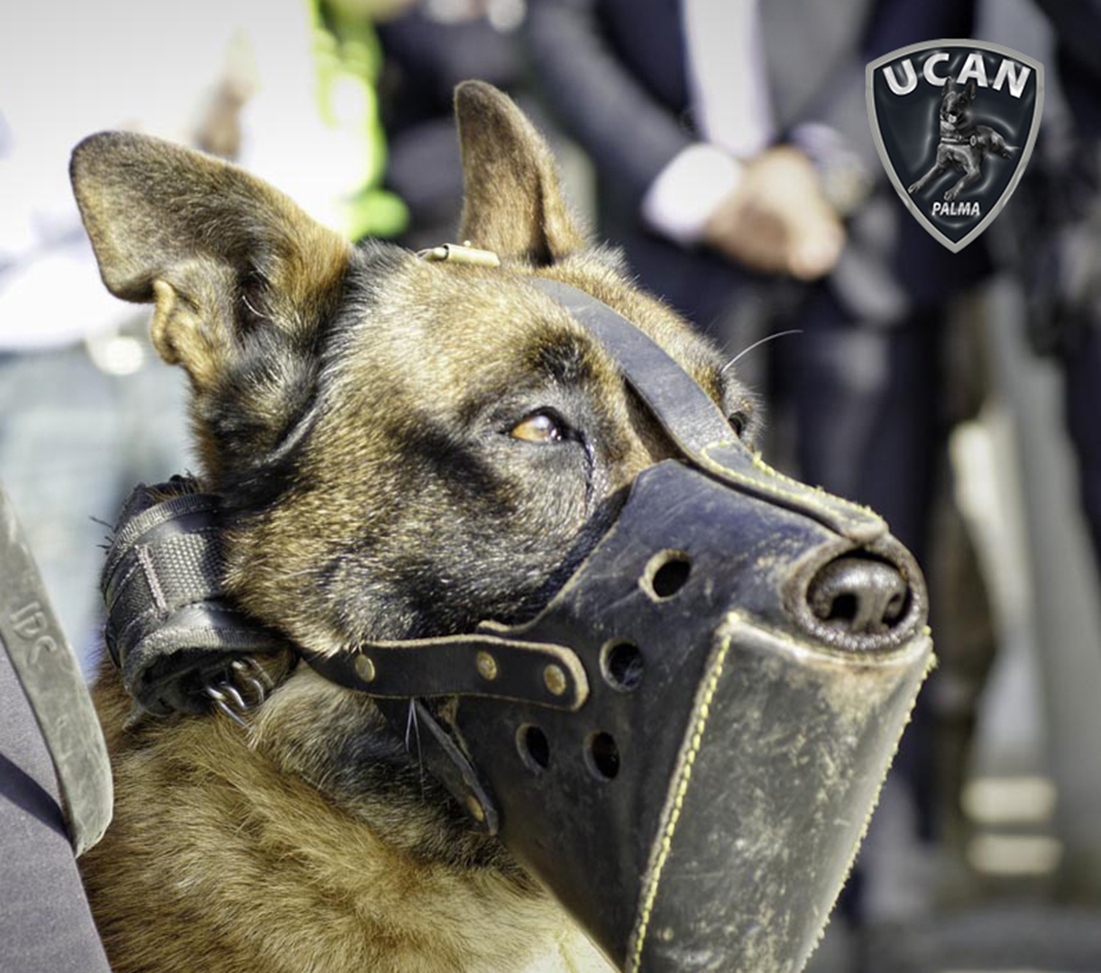 Unidad Canina de la Policía de Palma 